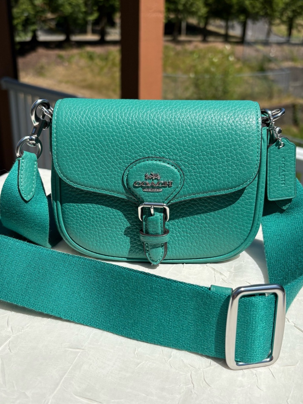 COACH Coach Amelia Saddle
Bag CP001